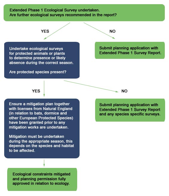 Ecology Planning Process Flowchart